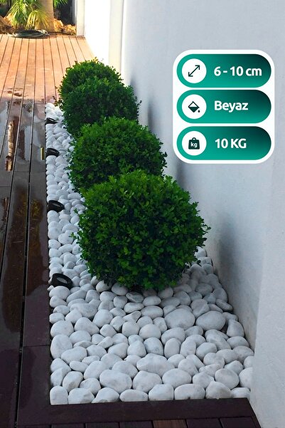 White Dolomite Stone 10 Kg 6-10cm Dolomite Stone Garden Ornament Aquarium Stone Stream Pebble Stone