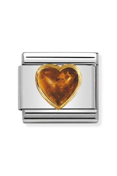 NOMİNATİON 18k Altın Kehribar Ile Paslanmaz Çelik Içinde Composable Klasik Ta...