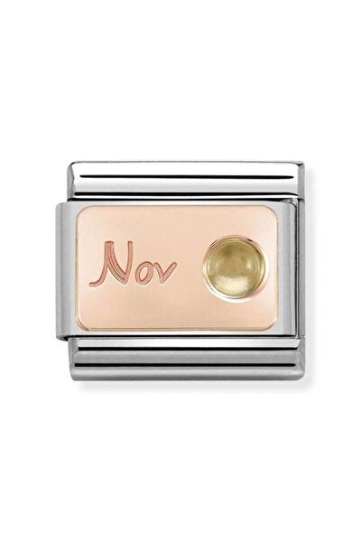 NOMİNATİON Composable Classic Stone Of Month In S, Steel And 9k Rose Gold (11_november Cıtrıne)