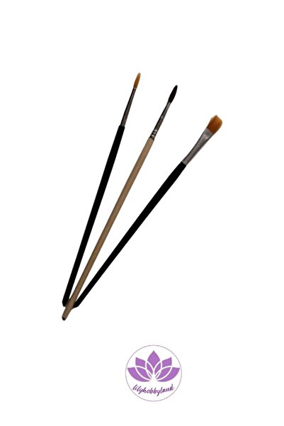 LİLYHOBBYLAND Renkli Baskılı Sayılarla Boyama Hobi Seti (Çerçeveli) 40x50 cm: Leylek 1