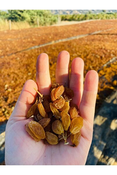 TANSU ŞAHAL 1. Kalite 1kg Kutuda Doğal Ve Katkısız Sultaniye Çekirdeksiz Üzüm...