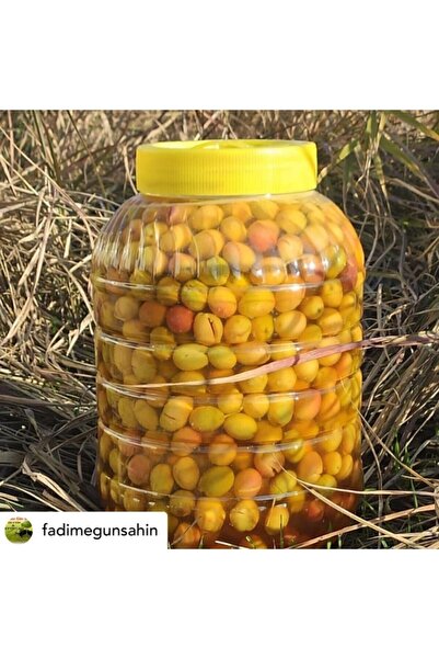 mut incisi zeytin & zeytinyağı Kırma Yeşil Zeytin Net 3,5 Kg