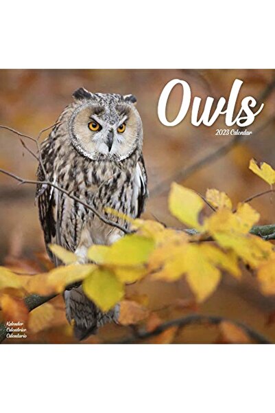 Carousel Owls W Avonsi