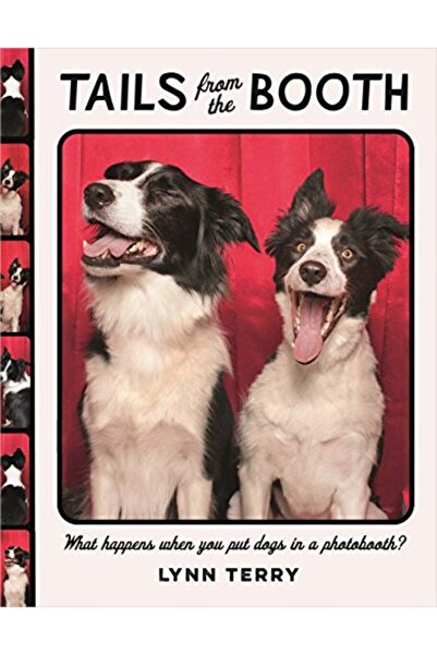 Harper Collins ذيول من الكشك