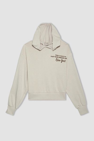 DeFacto Hooded Regular Fit Basic Sweatshirt - Pocket, Plain Zipper A9322Ax23Wn