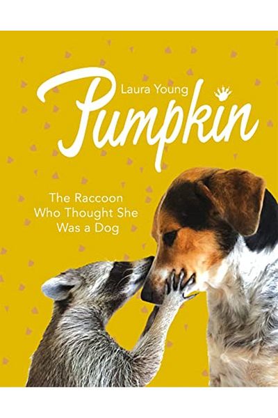 Macmillan Distribution Pumpkin The Raccoon Who Thought She Was A Dog