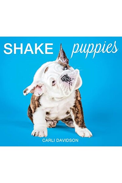 Harper Collins هز الجراء