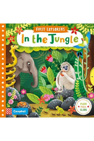 Macmillan Distribution In The Jungle