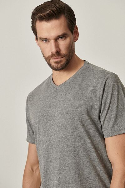 ALTINYILDIZ CLASSICS Ανδρικό μπλουζάκι σε γκρι V-λαιμόκοψη Slim Fit - Πακέτο 2 τεμαχίων