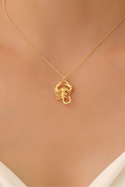 Nox Jewelry 925 Ayar Gümüş Üç Boyutlu Akrep Kolye Ucu - CN00362