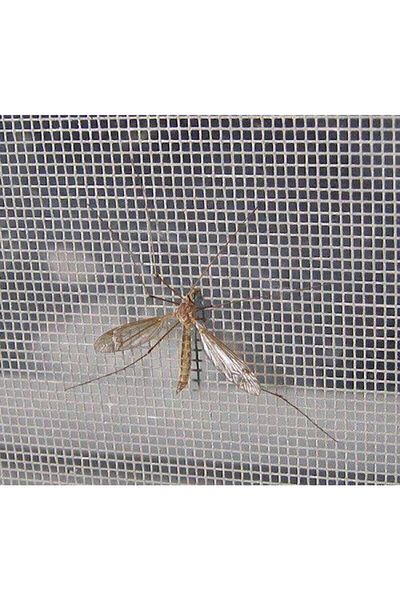 drmz 120Cmx200Cm Fiberglass Fly Screen Tulle - Fireproof Door Window Fly and Insect Catcher