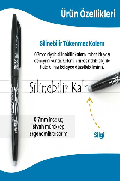 Erasable Ballpoint Pen – Frixion Model