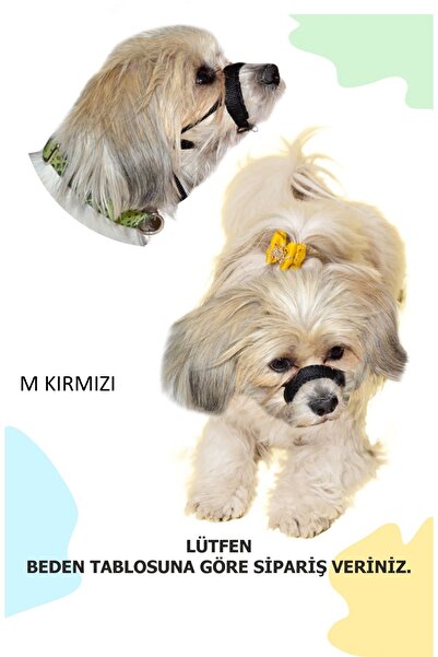 PET'S GO Köpek Ağızlığı - Eğitim Tasması Medıum Kırmızı