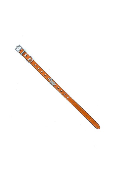 LİNO TASMA Lino Small Breed - طوق للكلاب مصنوع من الجلد بنسبة 100% مطلي بالني...