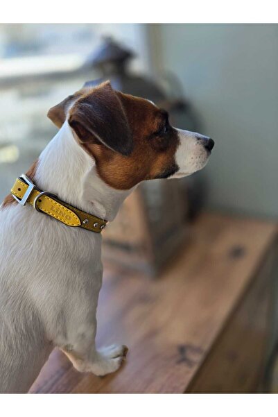 LİNO TASMA Dark Blue Dog Collar with Breed Badge - 100% Leather, Nickel Plated - Drg15