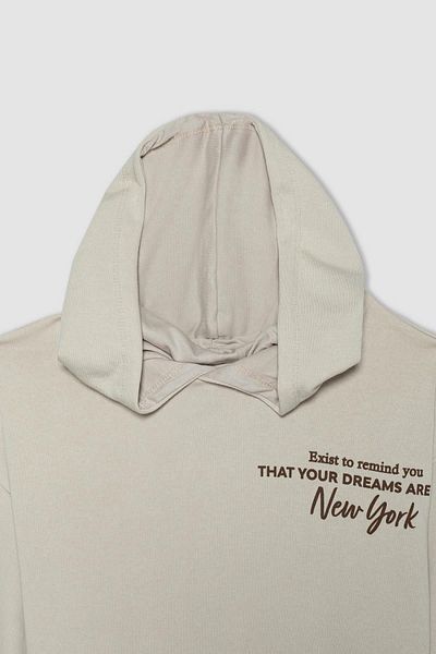 DeFacto Hooded Regular Fit Basic Sweatshirt - Pocket, Plain Zipper A9322Ax23Wn