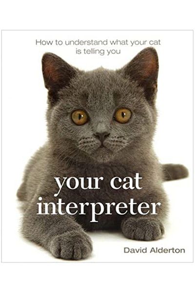 Macmillan Distribution Your Cat Interpreter How To Understand What Your Cat Is Saying To You