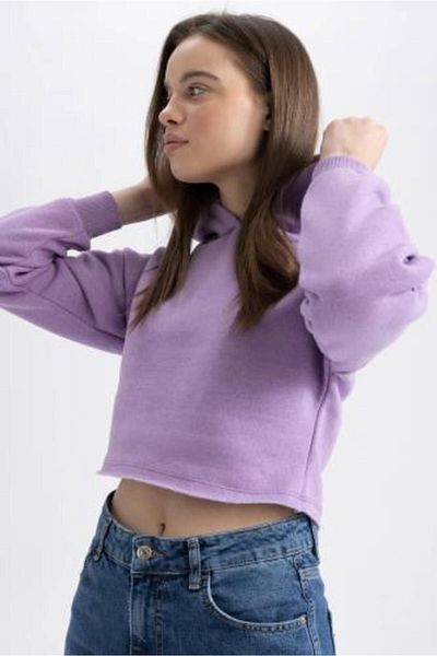 DeFacto Basic Hooded Crop Sweatshirt - Z9510Az22Au