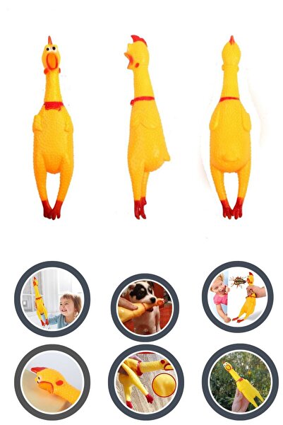 Yayke لعبة الدجاجة والديك الصراخ للأطفال مقاس 30 سم - لعبة الحيوانات الأليفة