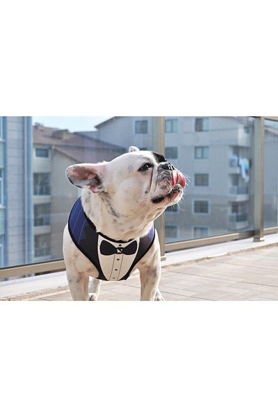 Dogness Tuxedo Navy Blue Chest Collar