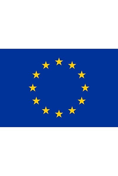 Netoc İndüksiyonlu Ailupu Orijinal Lazer Ocak