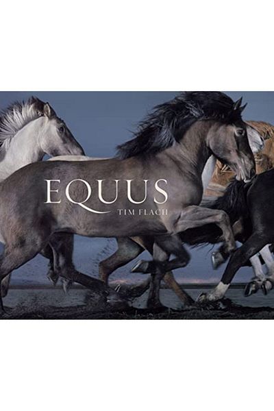 Macmillan Distribution Equus Mini