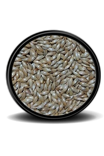 Genel Markalar Sade Kanarya Yemi (aspur) 1 Kg