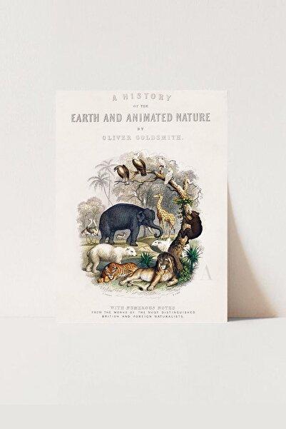 HOME DEKORİSTA Vintage Poster, Çocuk Odası, Bebek Odası Poster, Galeri Duvarı...