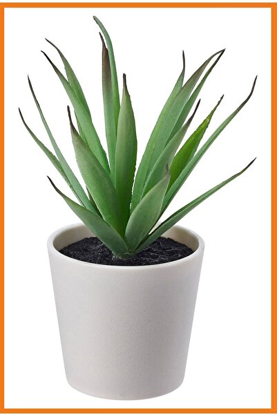 Alony Home نبات الصبار الاصطناعي الأخضر فيكا - 14 سم