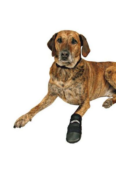 Trixie Neoprene Dog Booties - 2 Pieces m Black 476123