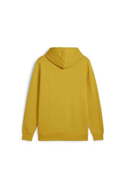 Puma Ess 2 Col Big Logo Hoodie Erkek Sweatshirt