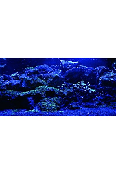 Kanki Pet KP1256325 Akvaryum Arka Fon Yapıştırma 125 x 63 CM