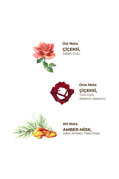 Eyüp Sabri Tuncer Millions of Roses 150 ml Eau De Cologne - Glass Bottle