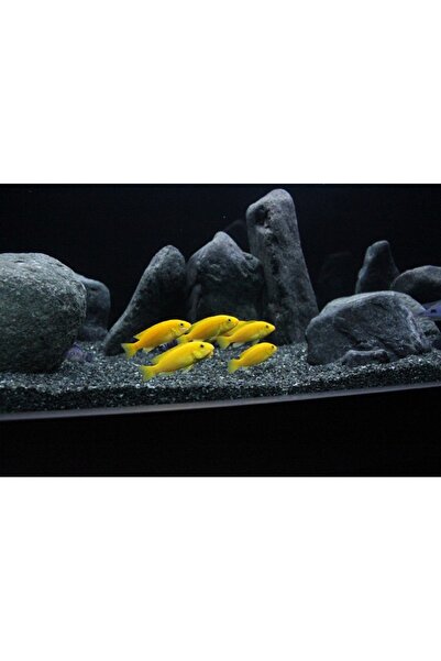 Kanki Pet Bazalt kum ( 2 - 3 mm ) 1 kg