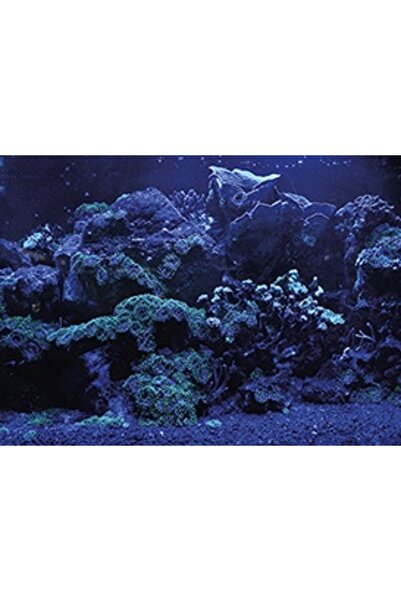 Kanki Pet KP5540025 Akvaryum Arka Fon Yapıştırma 55 x 40 CM
