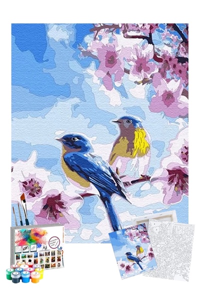 Tabdiko Sayılarla Boyama Seti 40 x 50 cm Tuval Şasesine Gerili Bahar Dalında Kuşlar