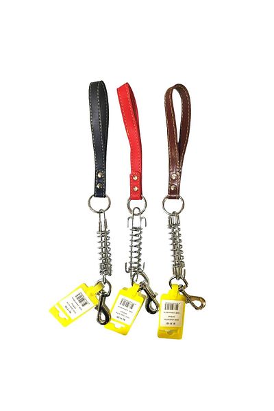 Cans Sl111d - Multicolored Short Steel Spring Collar, 3 Mm x 40 Cm