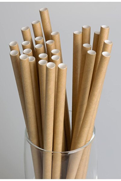 Tinky Winky Kraft Renk Natural Karton Pipet 50 Adet