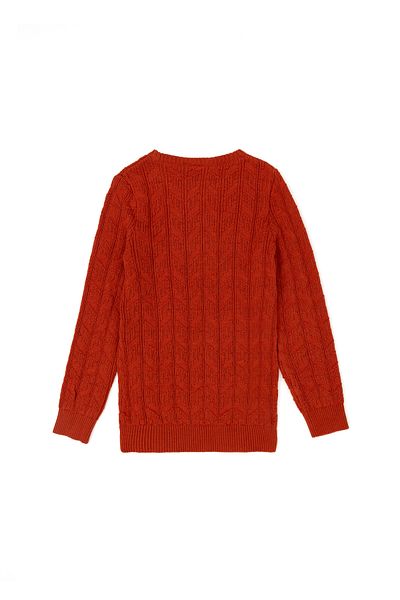 U.S. Polo Assn. Boy's Brick Basic Sweater 50269032 -Vr031