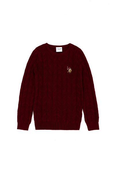 U.S. Polo Assn. Pulover de bază roșu Claret pentru băiat 50269032 -VR014