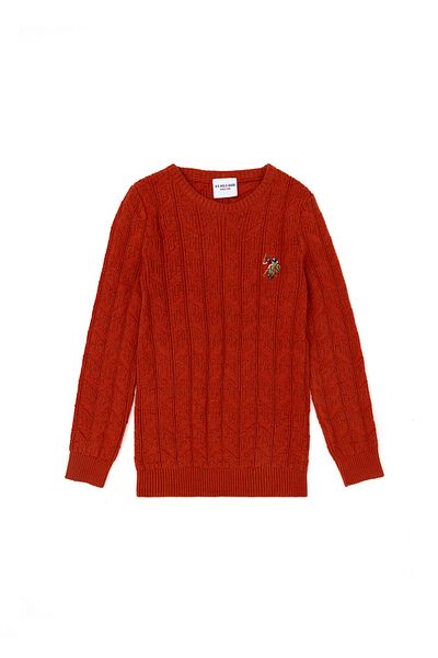 U.S. Polo Assn. Boy's Brick Basic Sweater 50269032 -Vr031