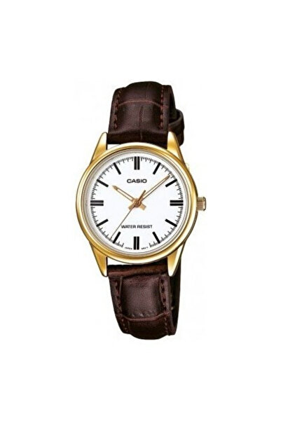 Casio LTP-V005GL-7AUDF Kol Saati