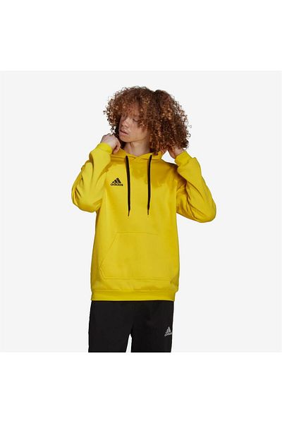 adidas Entrada 22 Hoody Men's Sweatshirt