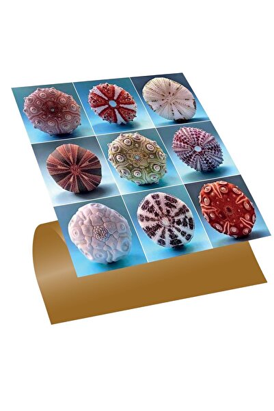 TİNK Kendinden Yapışkanlı Kestaneler Desenli Pvc Karo 30x30 Cm (4 ADET) 0,36 M2