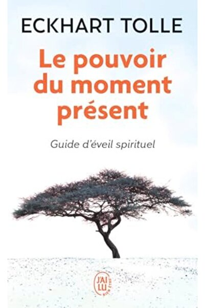 UD Union Distribution Le Pouvoir Du Moment Présent Guide Déveil Spirituel