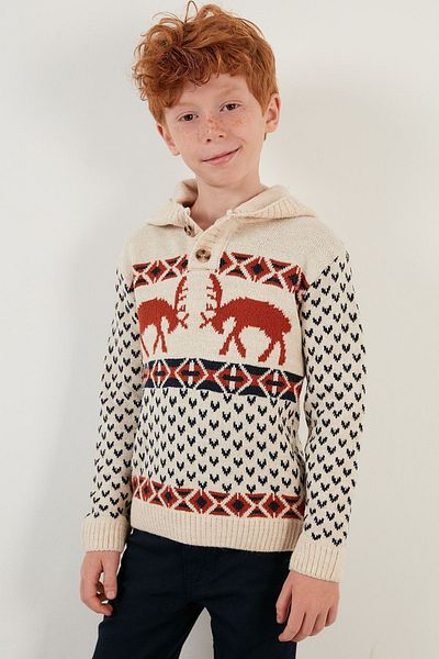 Lela New Year's Themed Buttoned Hooded Sweater Boy's Sweater 633mj365