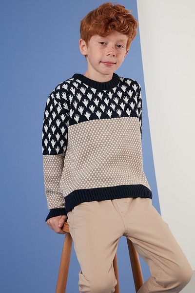 Lela Color Blocked Crew Neck Sweater Boy's Sweater 633mj356