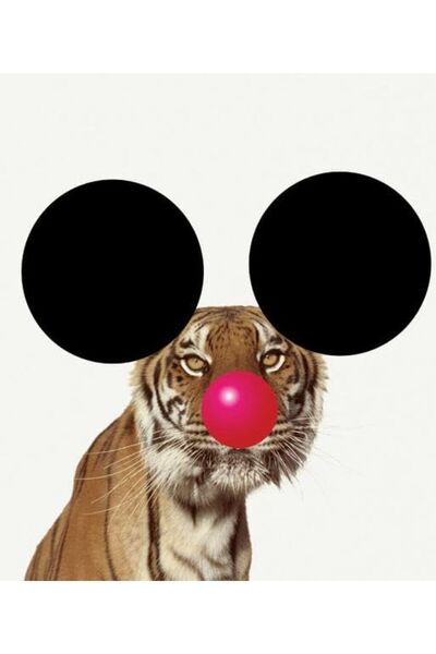 Die Gestalten Verlag غير تنسيقي