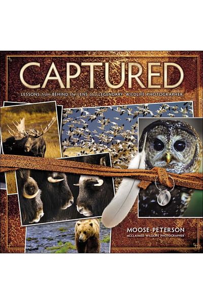 Pearson Captured Behind The Lens Of A Legendary Wildlife Photographer Voices That Matter