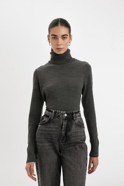 DeFacto Regular Fit Soft Textured Turtleneck Basic Plain Knitwear Sweater H1651Az24Wn